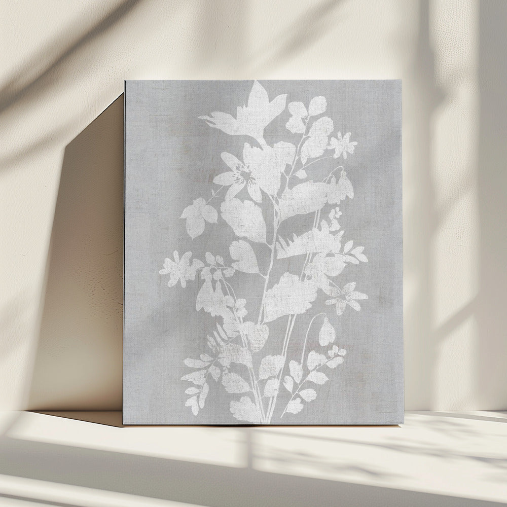 Botanische Illustration 2 | Leinwand