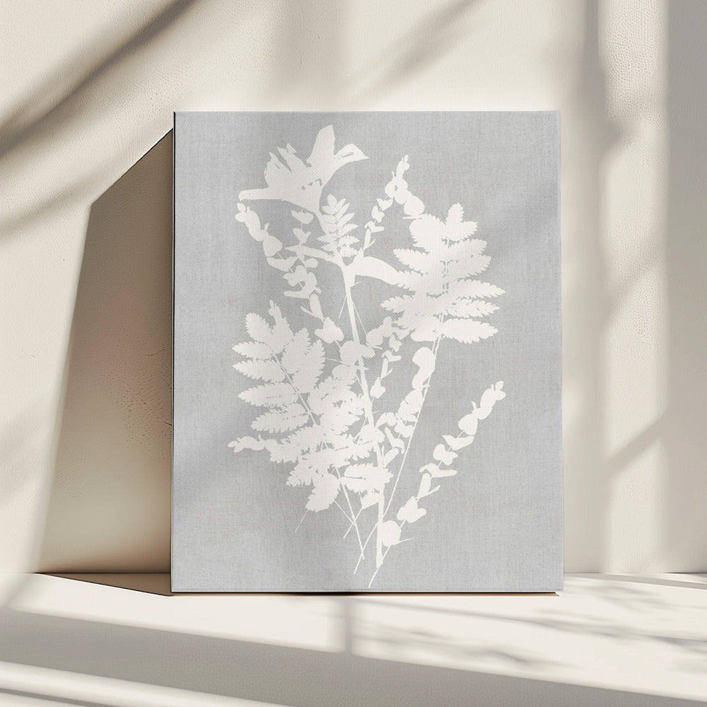 Botanische Illustration 5 | Leinwand
