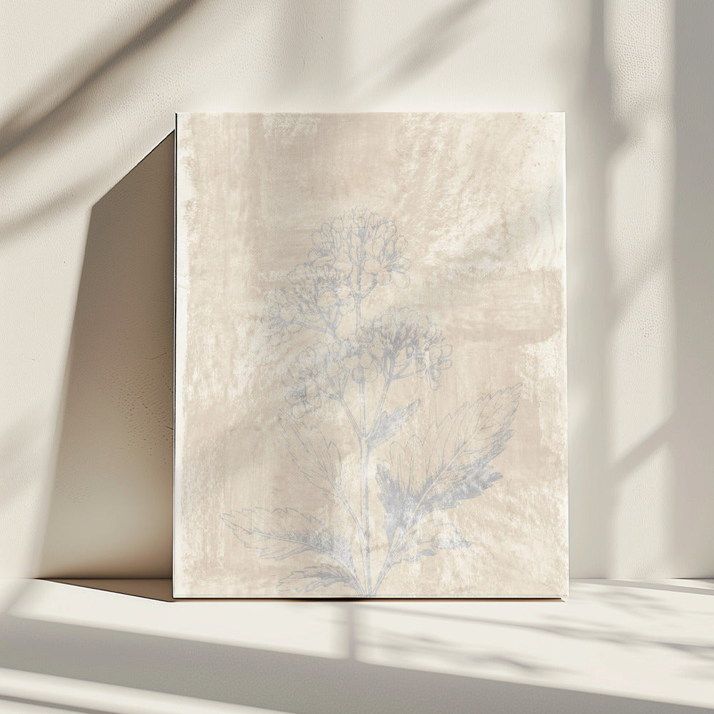 Woodsia 3 | Canvas
