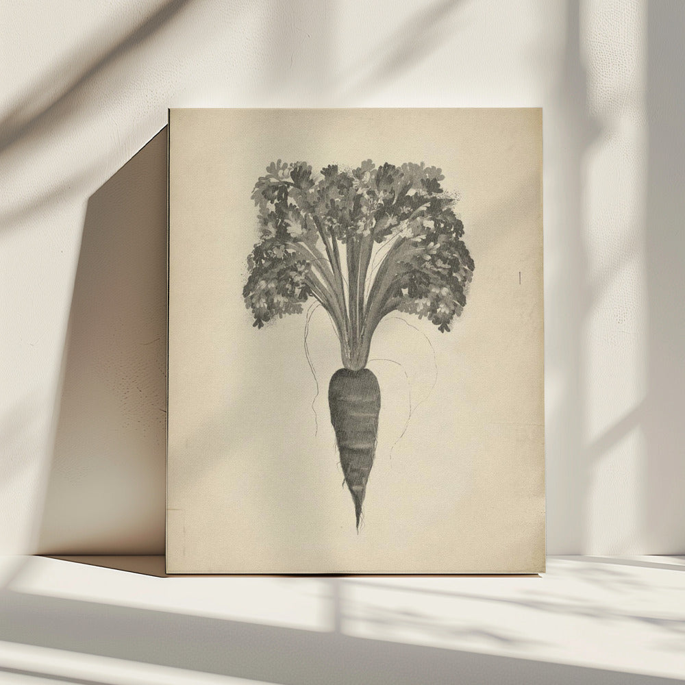 Project (20241106122935) | Canvas