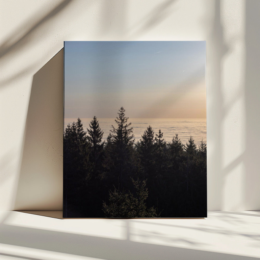 Goldene Stunde 4 | Leinwand
