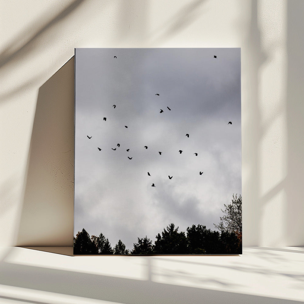 Vögel und Wolken 1 | Leinwand