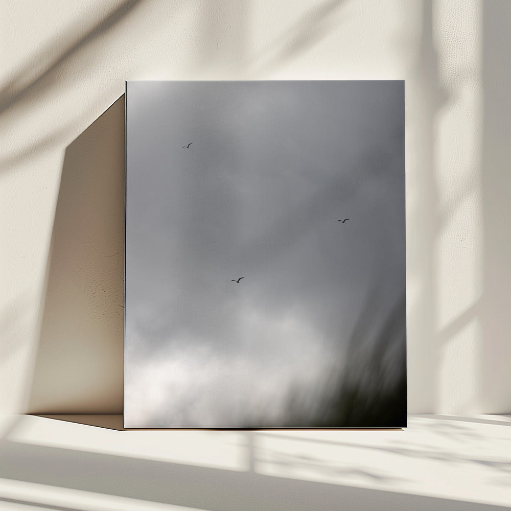 Vögel und Wolken 2 | Leinwand