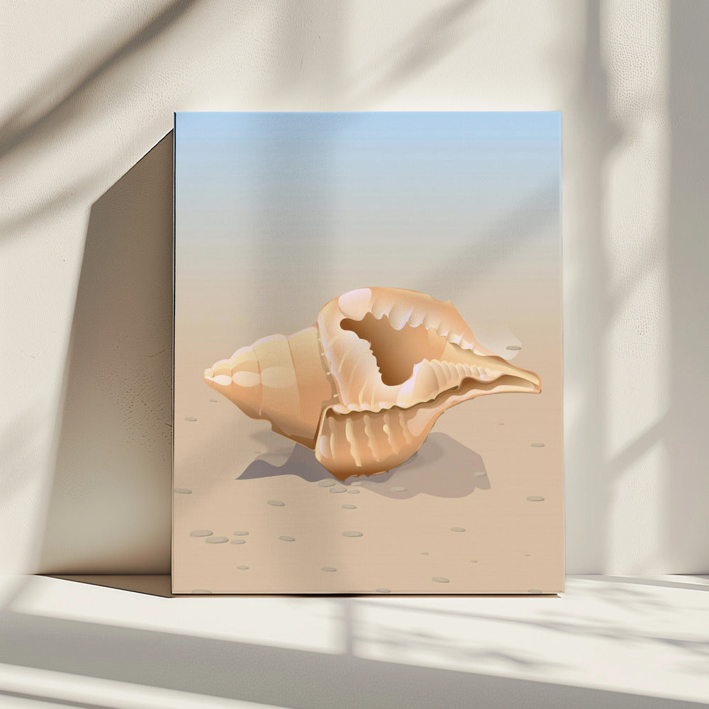 Muschel am Meer | Leinwand