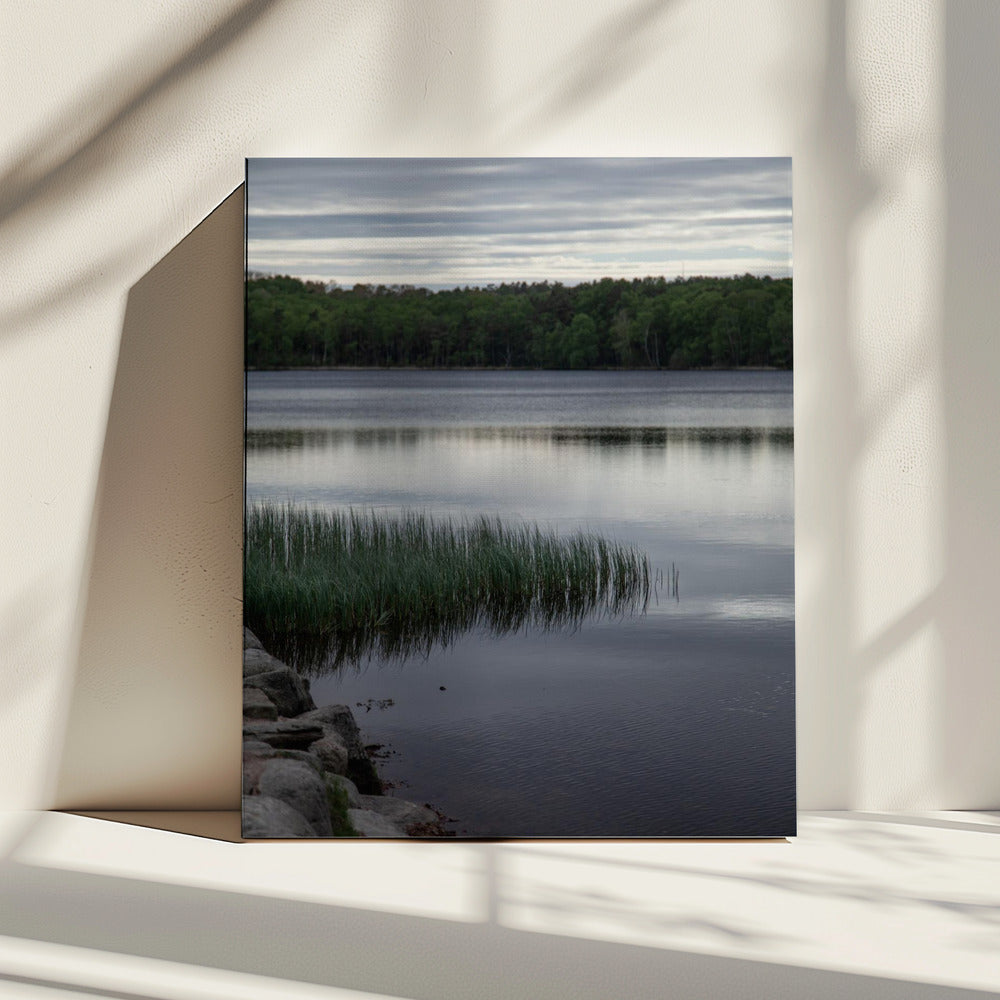 Irgendwo in Schweden 2 | Leinwand