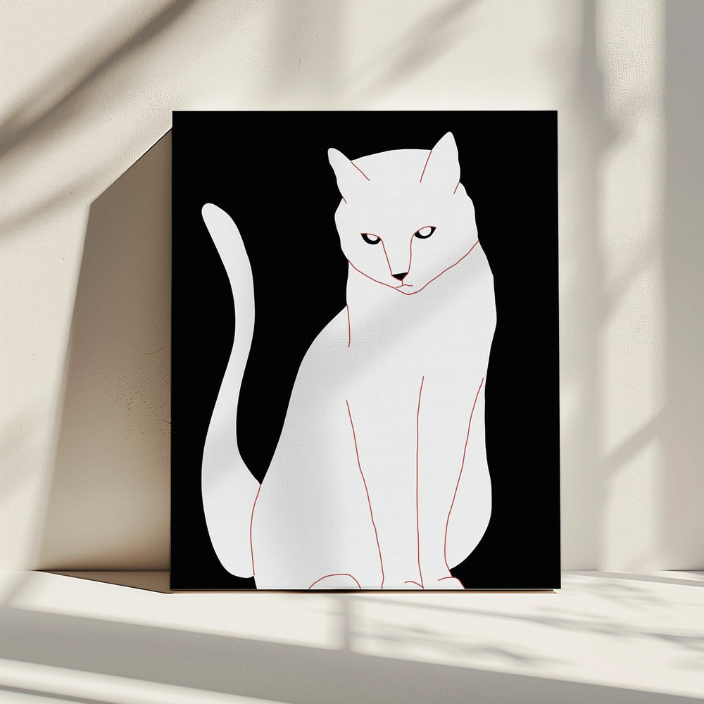 Weiße und schwarze Katze | Leinwand