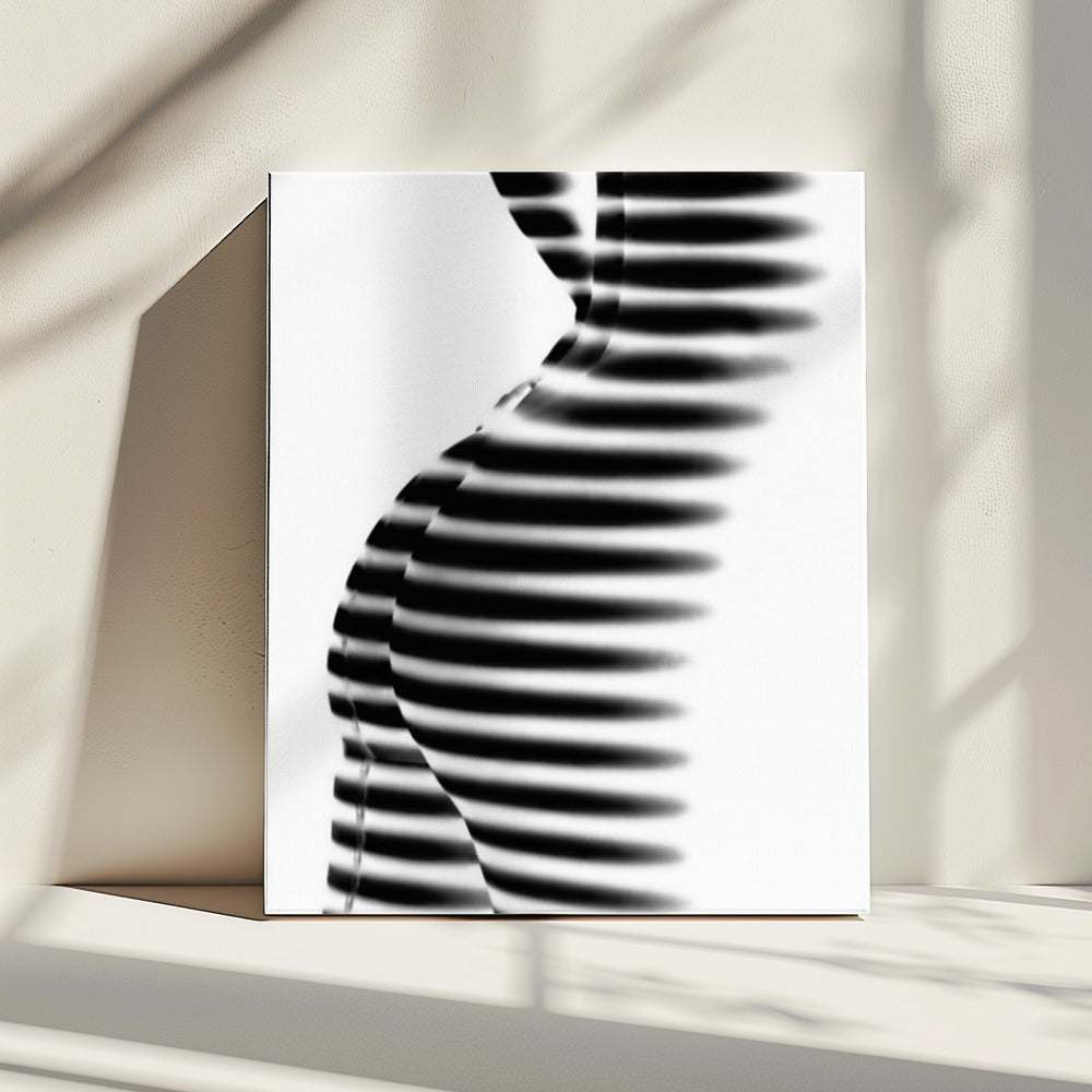 Zebra | Leinwand