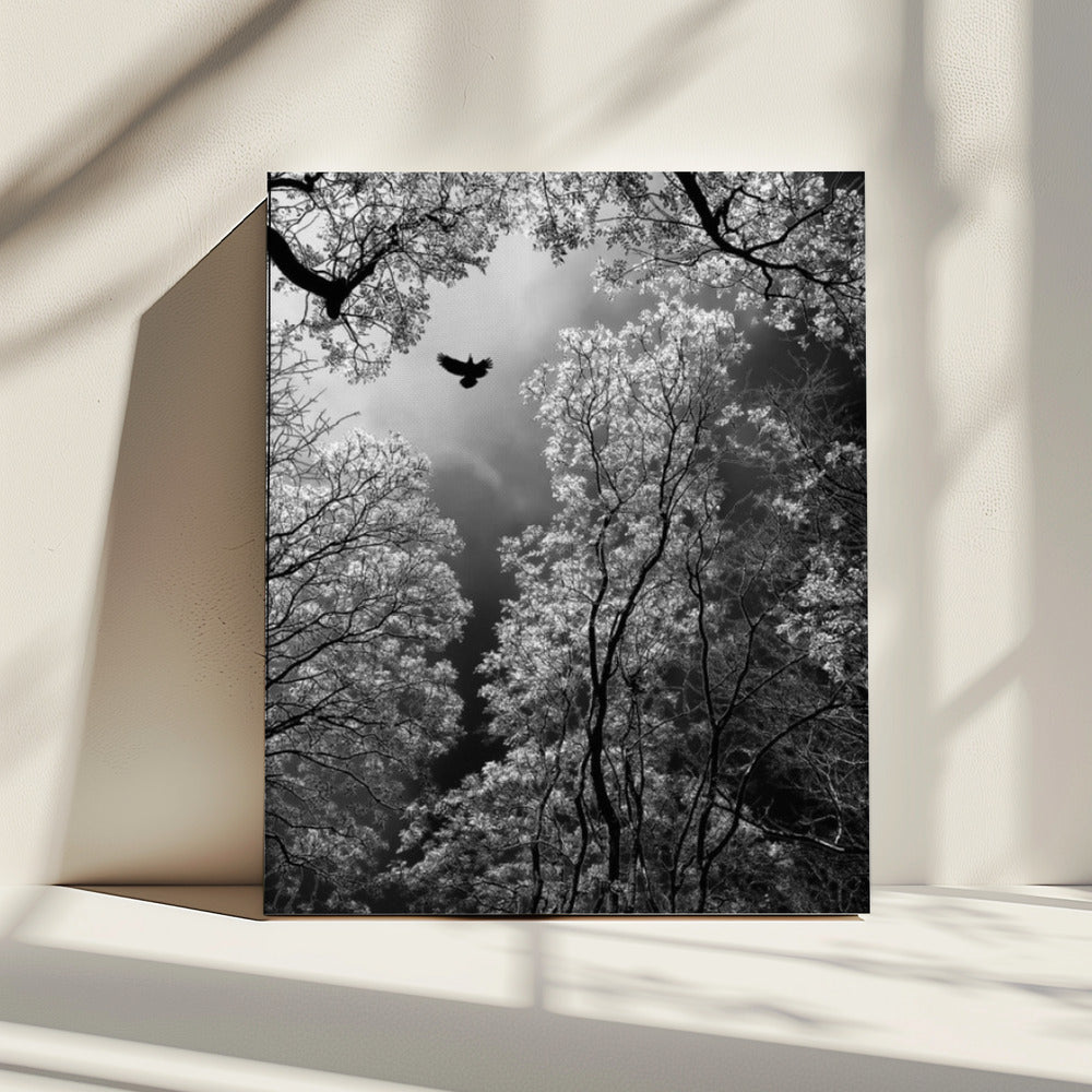 Flug | Leinwand