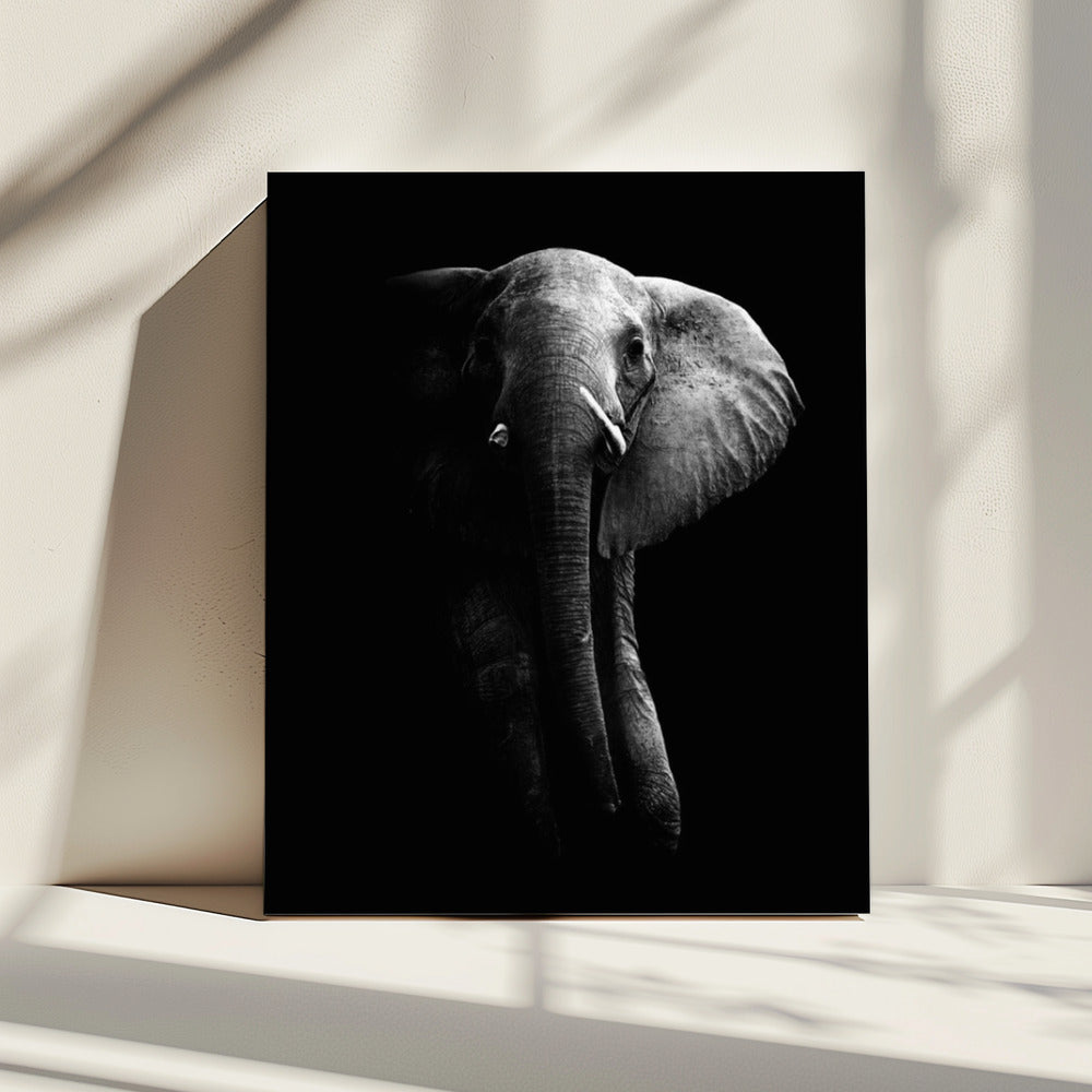 Elefant! | Leinwand