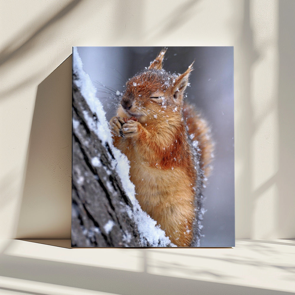 winter | Canvas