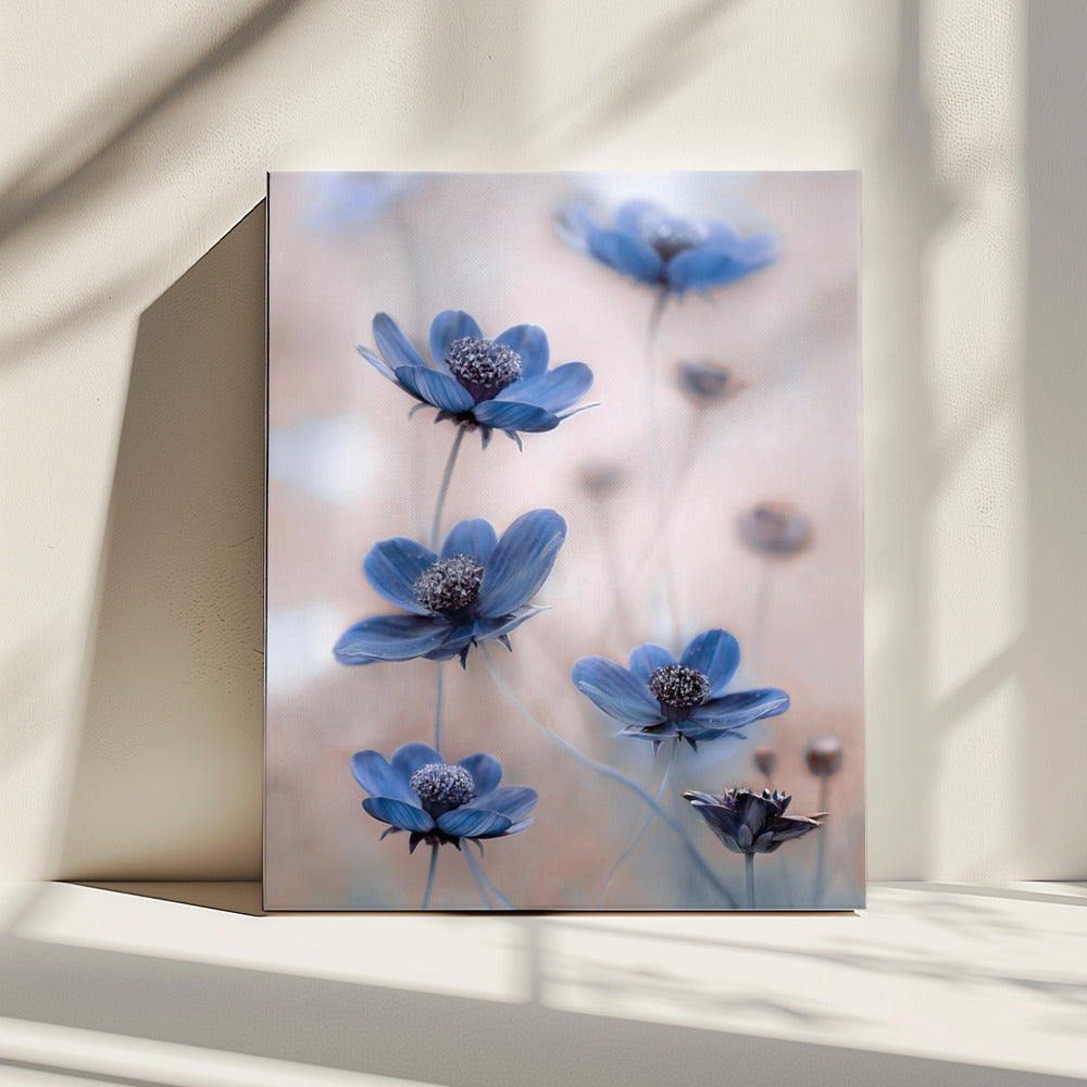 Kosmosblau | Leinwand