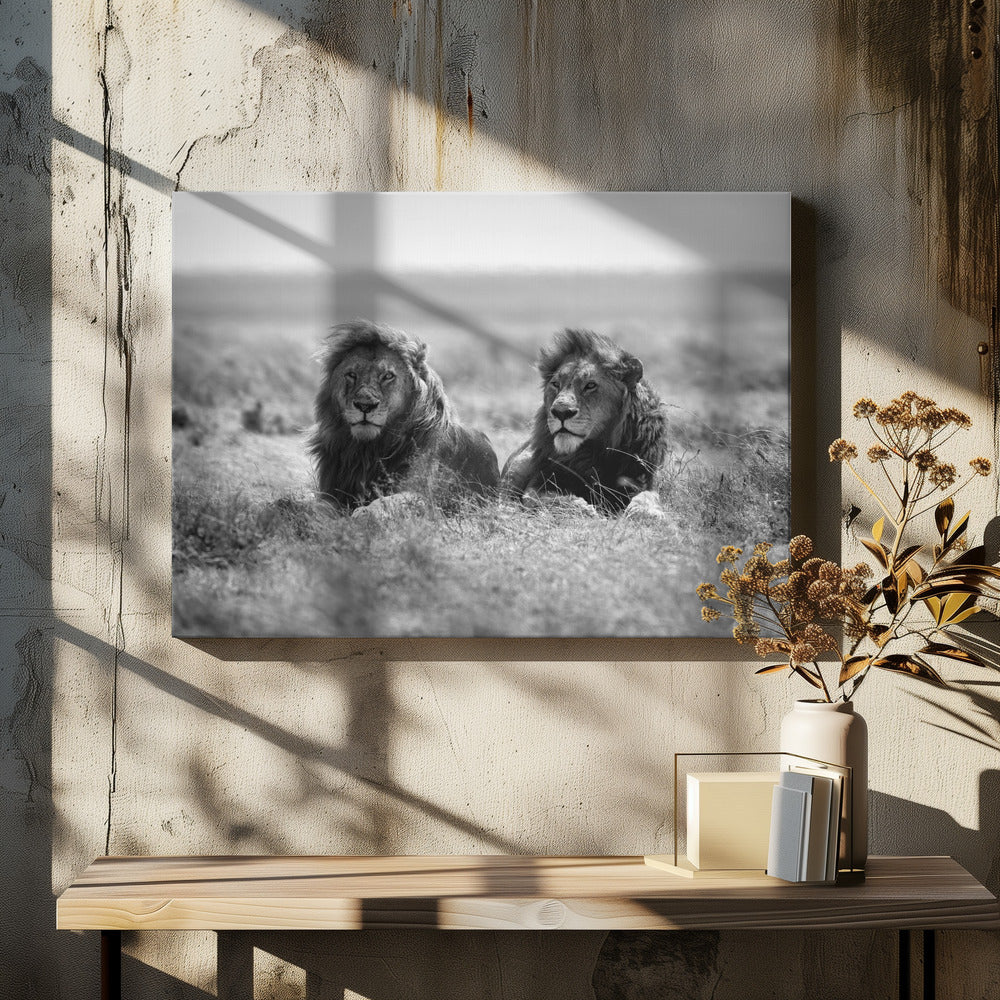 Two kings | Canvas