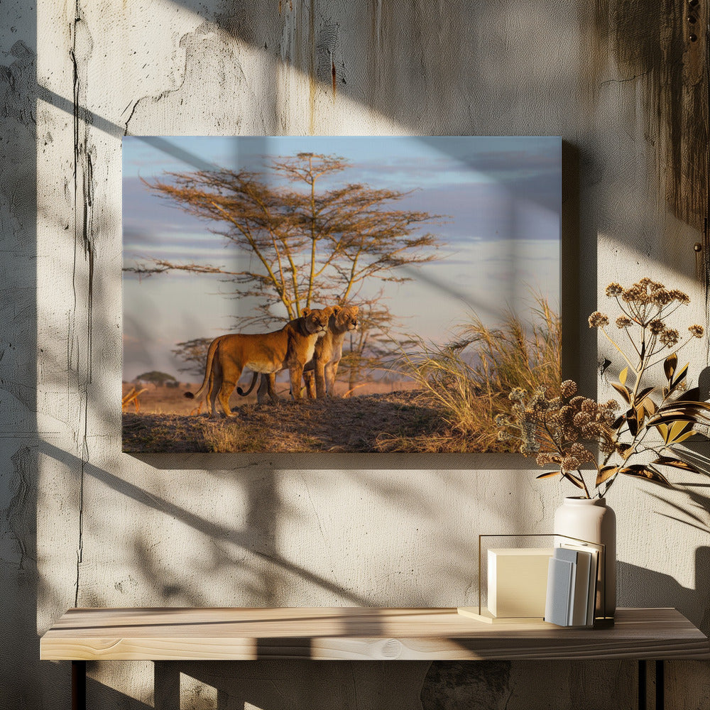 Sisters | Canvas