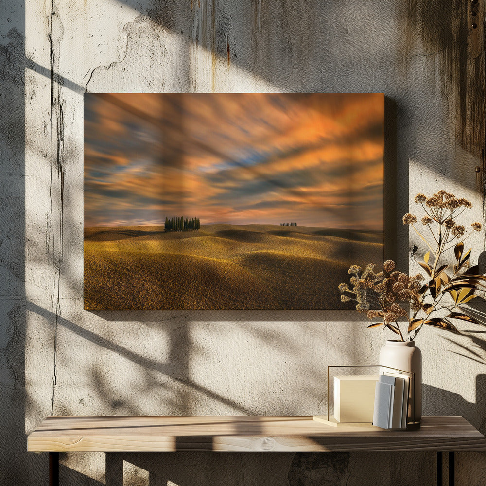 Cypresses... | Canvas