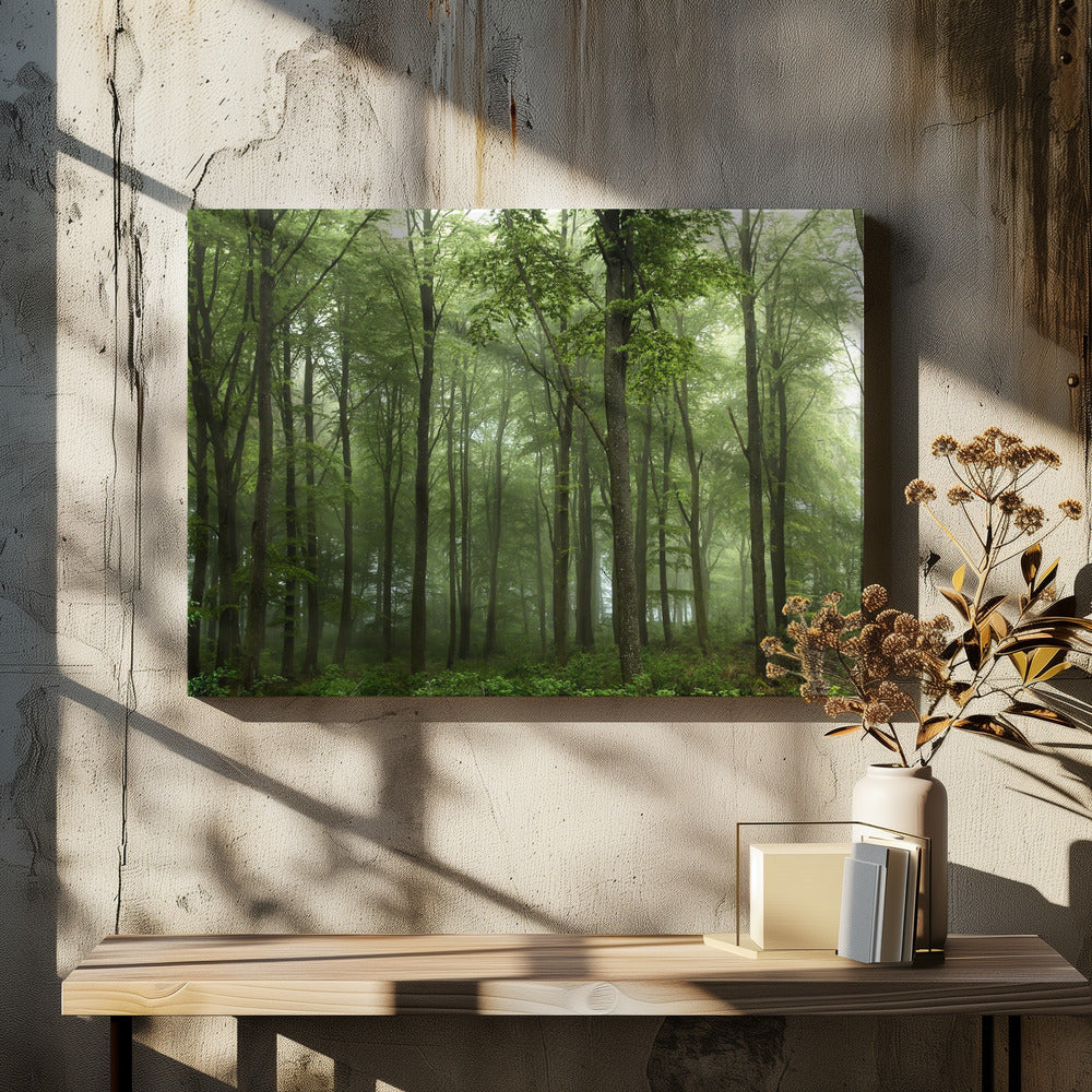 Wald... | Leinwand