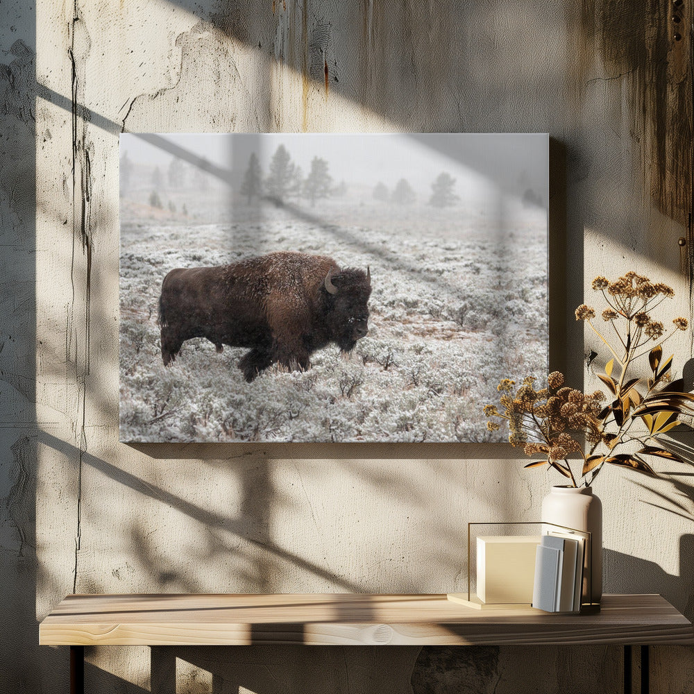 Yellowstone im Spätherbst | Leinwand