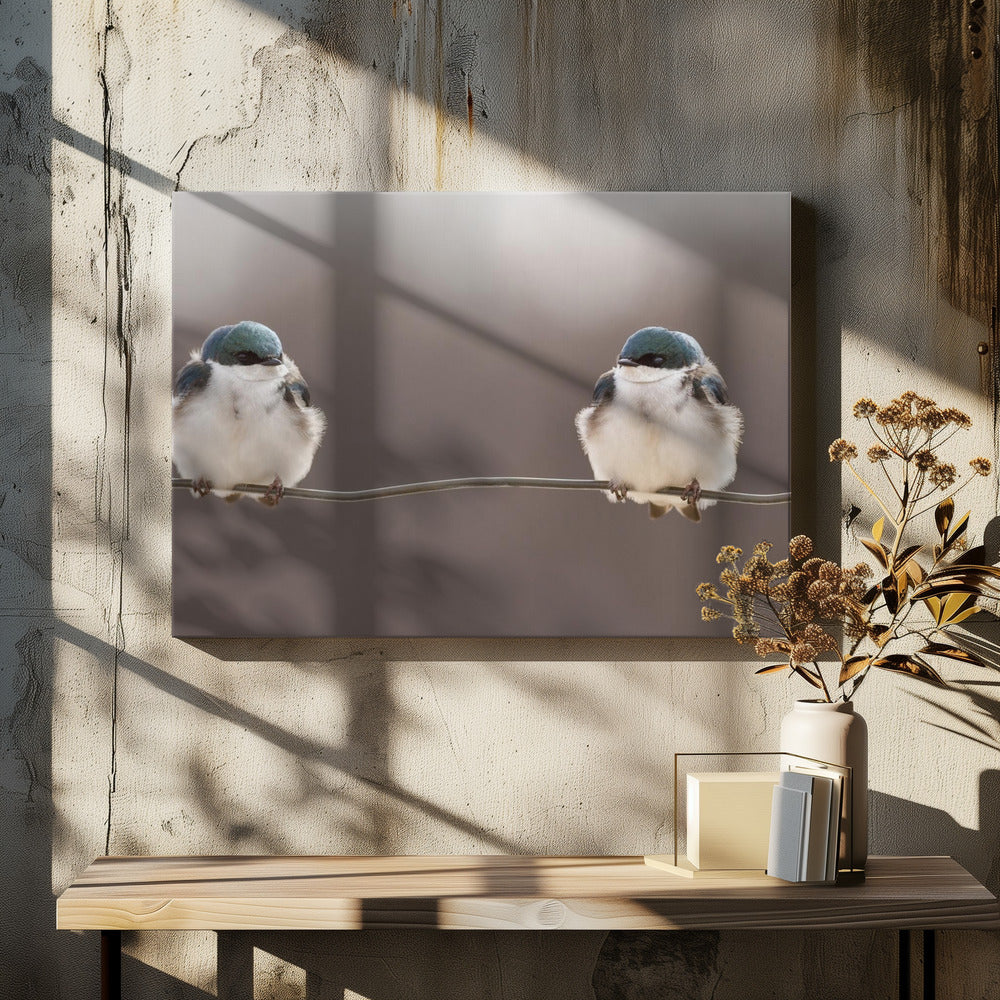 Vögel auf einem Draht | Leinwand