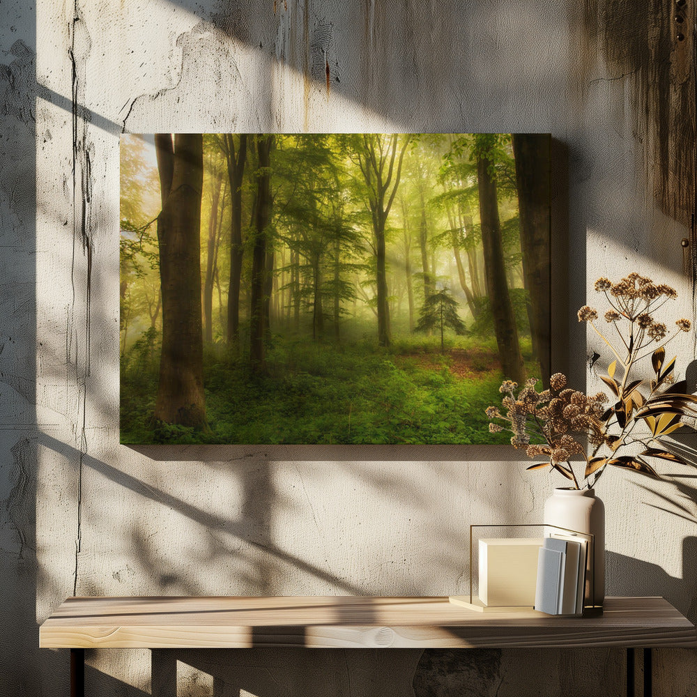 Der kleine Baum | Leinwand