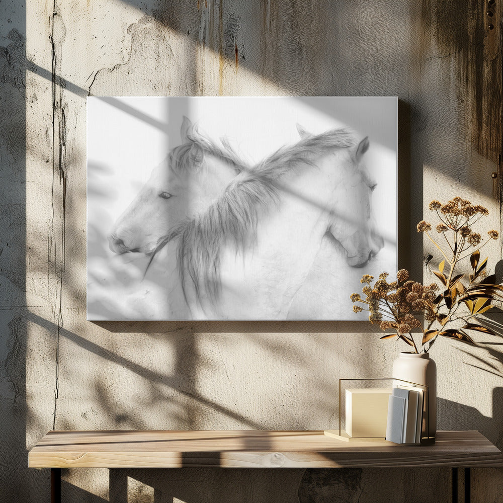 Horses | Canvas