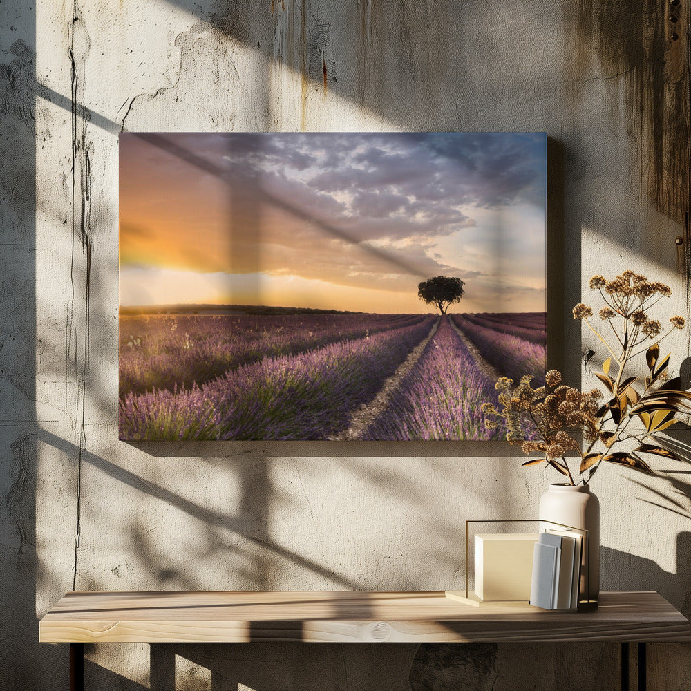 DESTINATION LAVENDEL | Leinwand