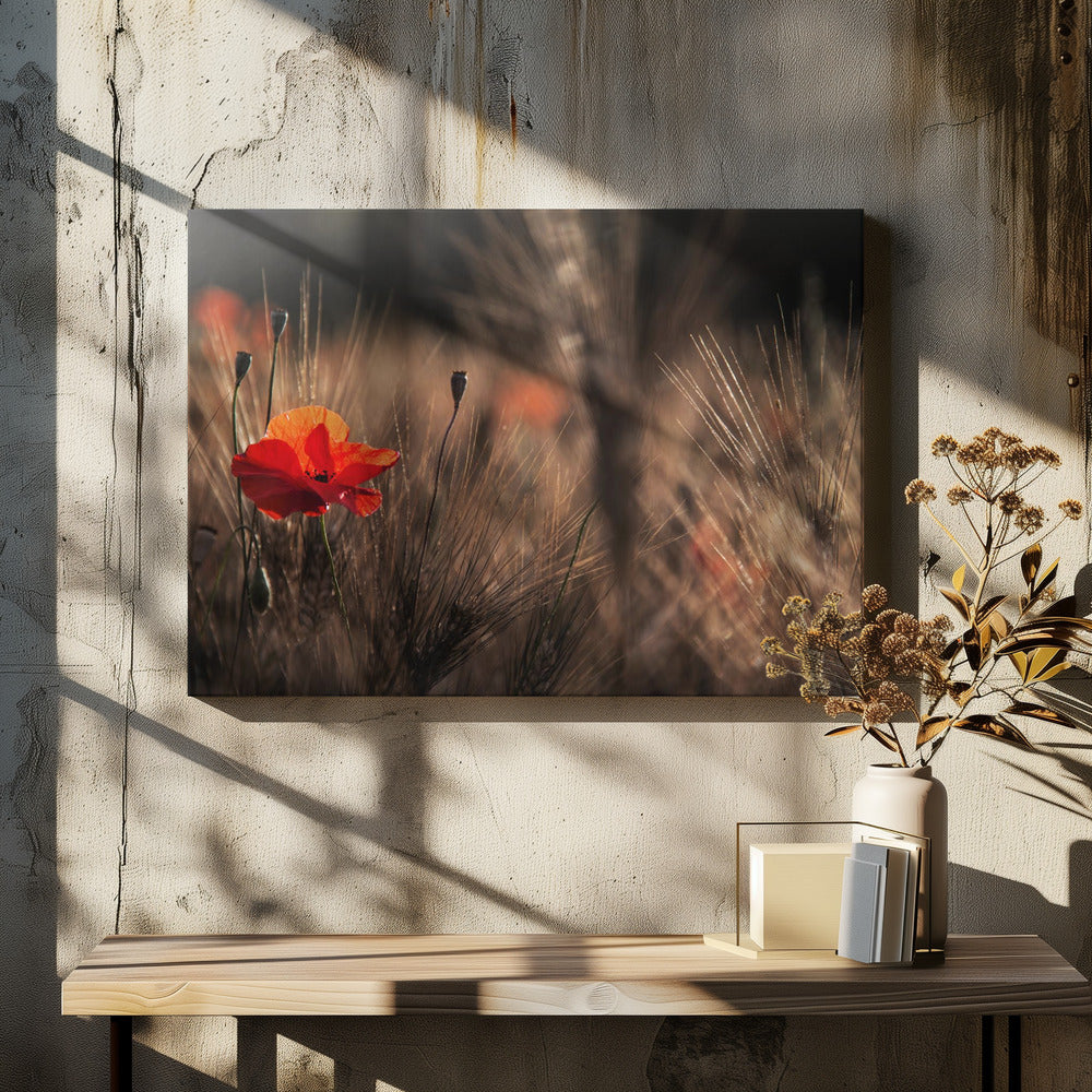 Mohn mit Mais | Leinwand