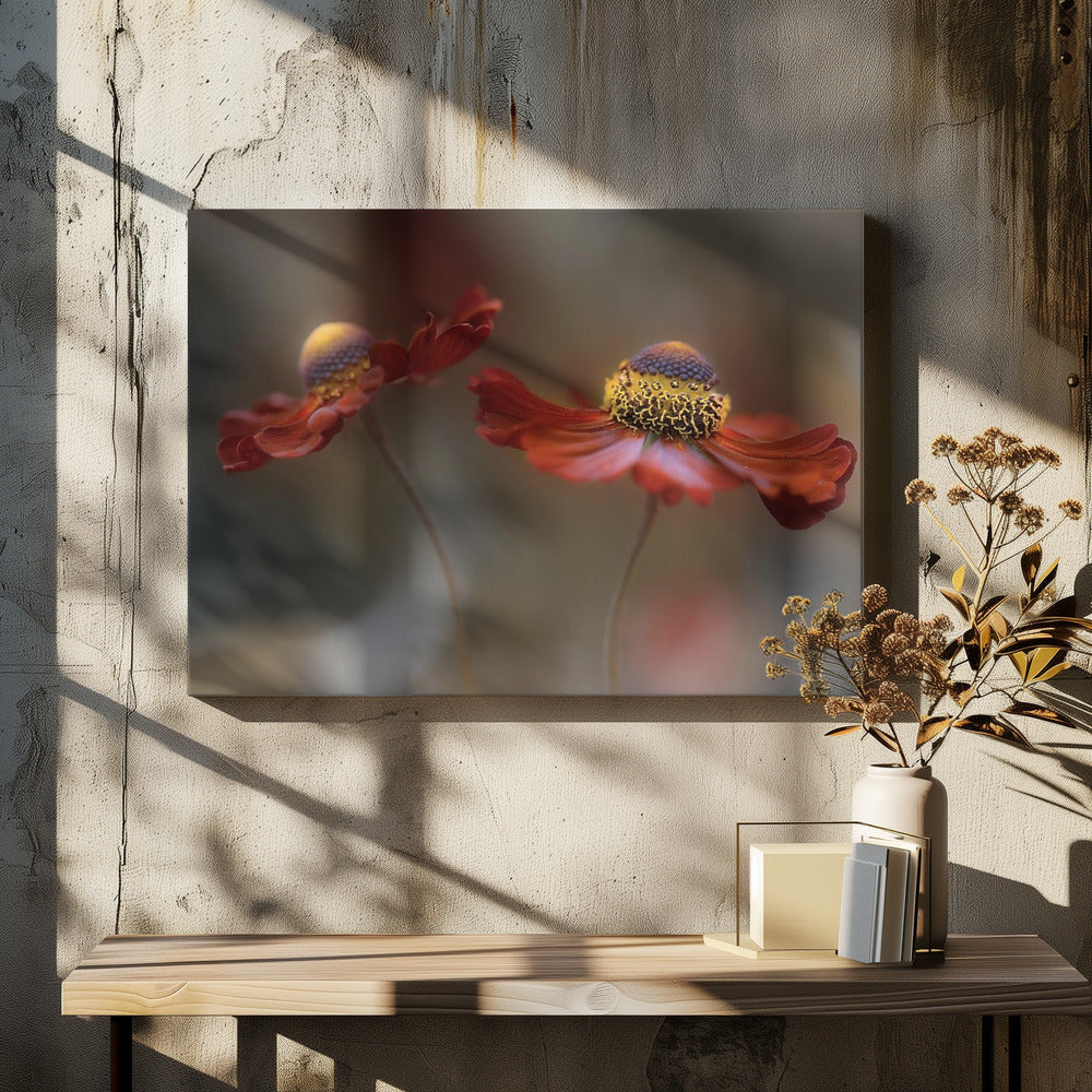 Helenium Tanz | Leinwand