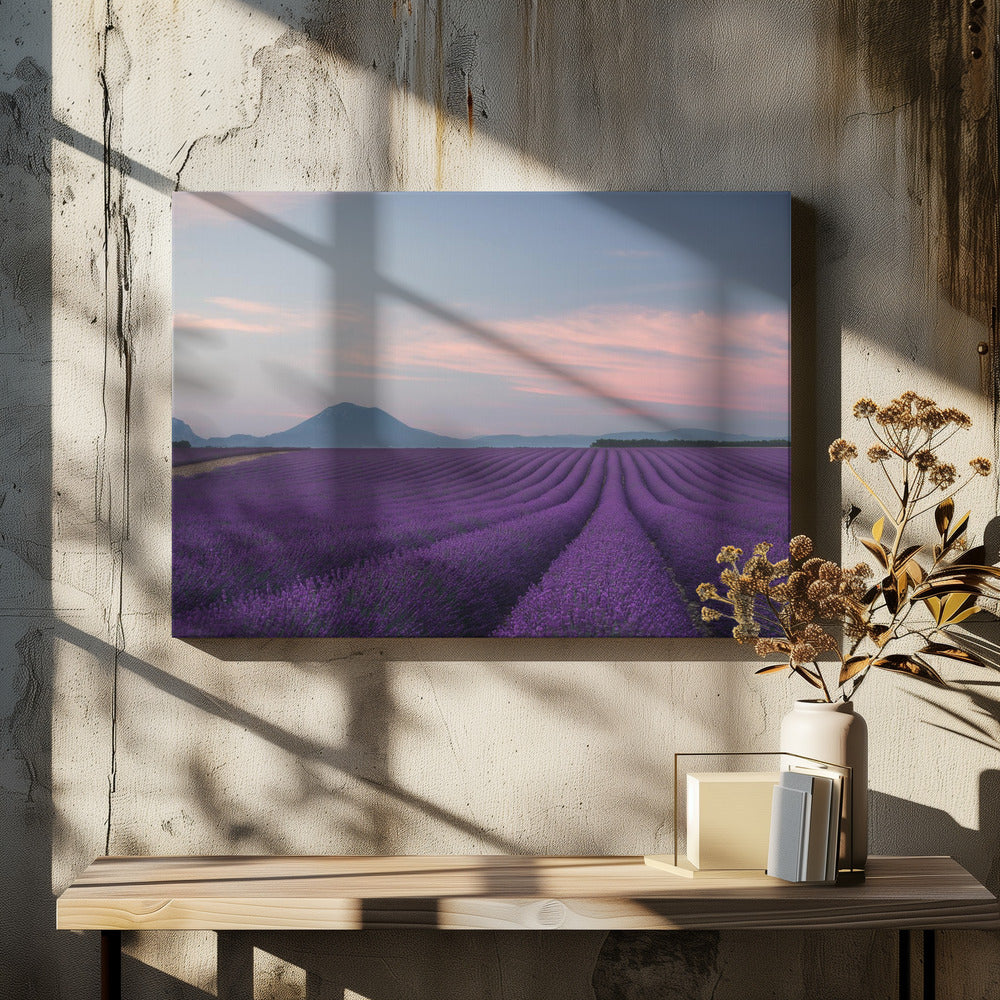 Lavendelfeld | Leinwand