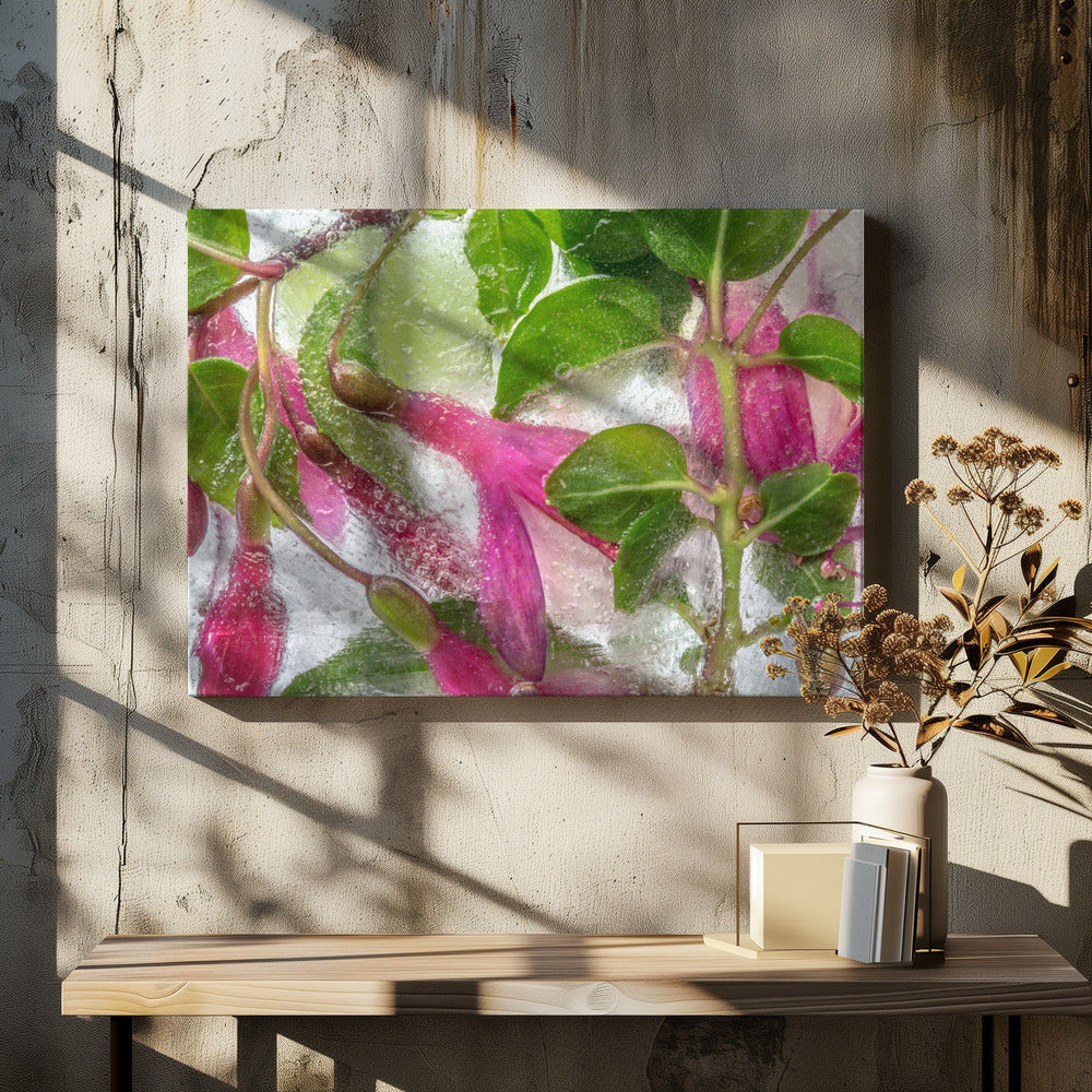 Fuchsia Freeze | Leinwand
