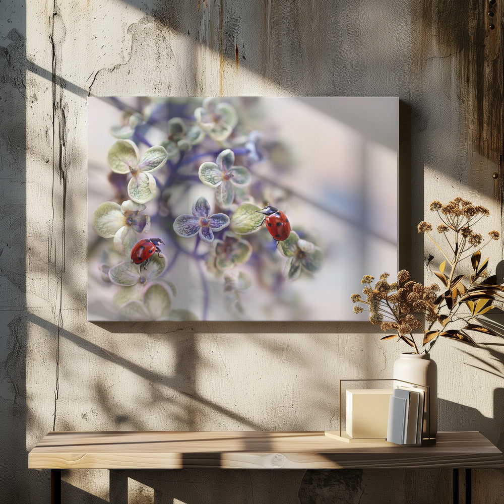 Fragile | Canvas