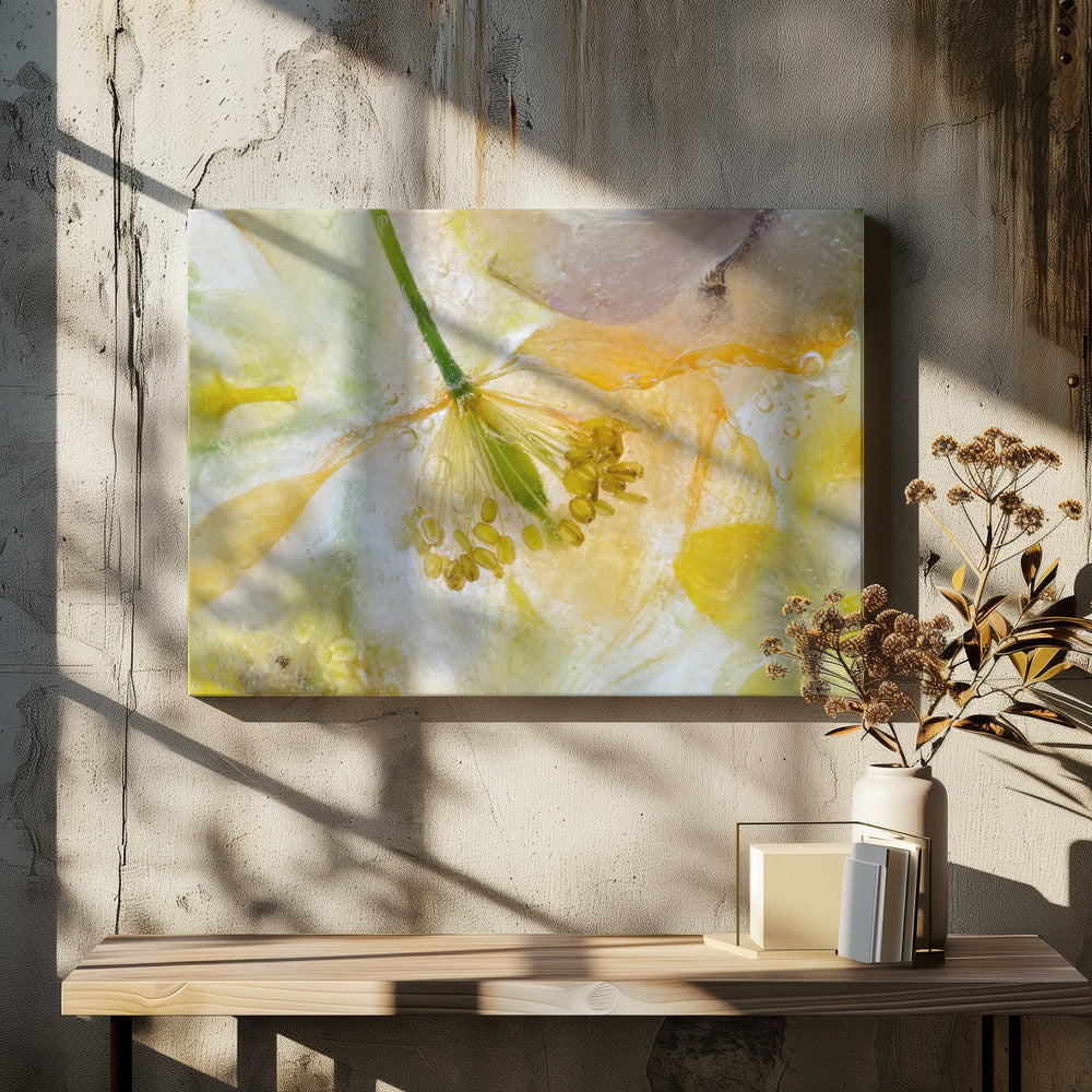 Papaver Ice | Leinwand