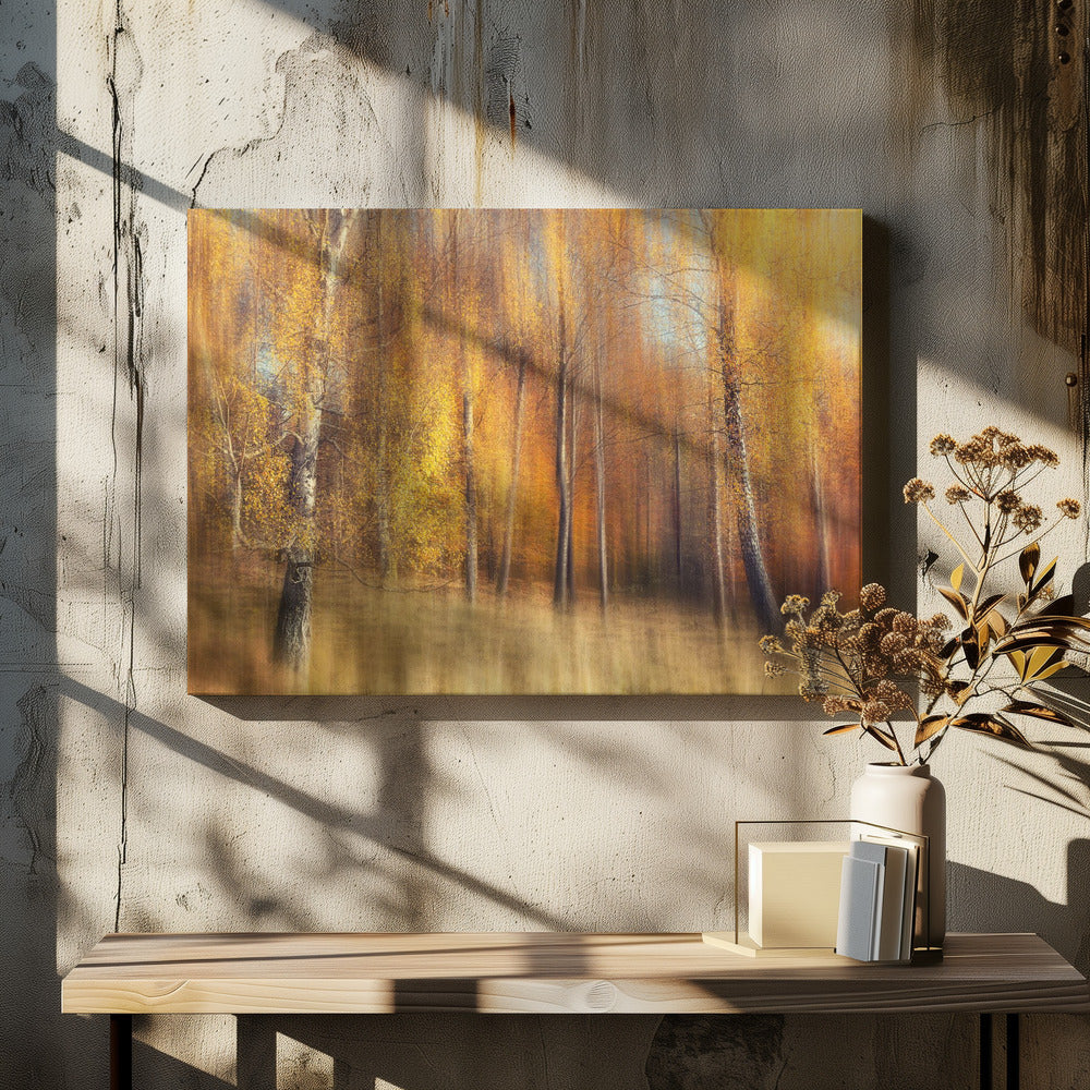 Herbstbirken | Leinwand
