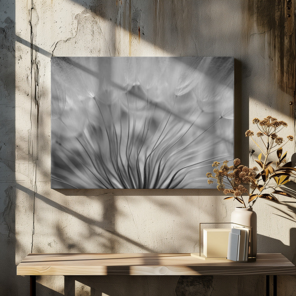 Dream | Canvas