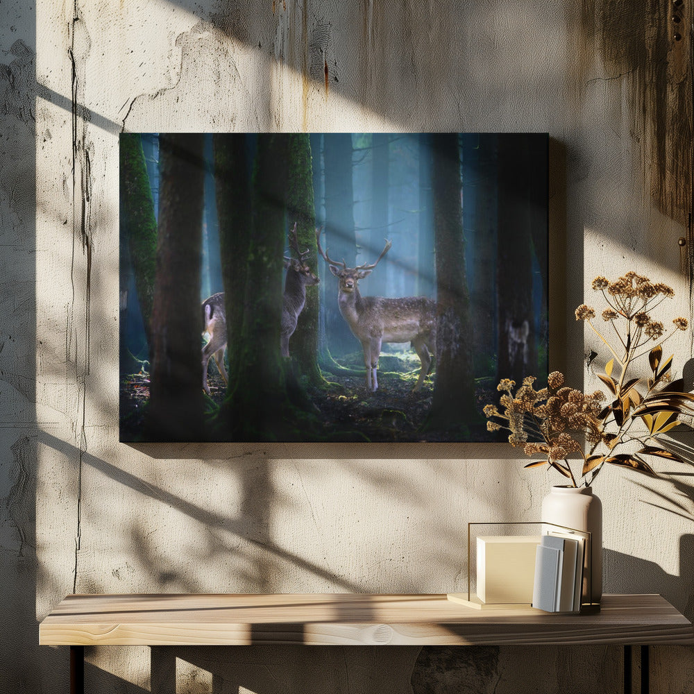 Hirsche | Leinwand
