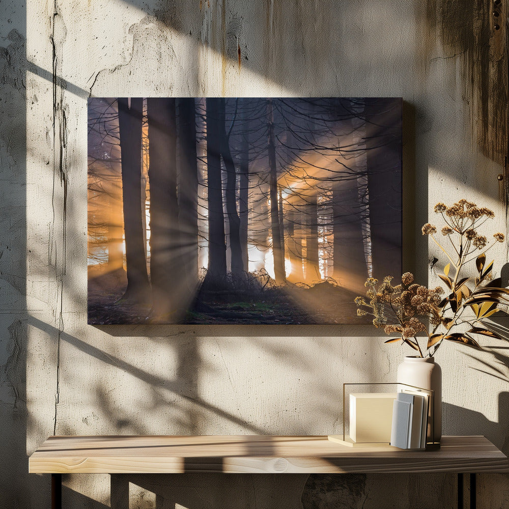 Wald | Leinwand