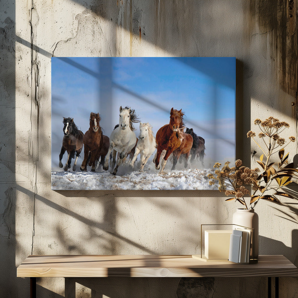 Mongolische Pferde | Leinwand