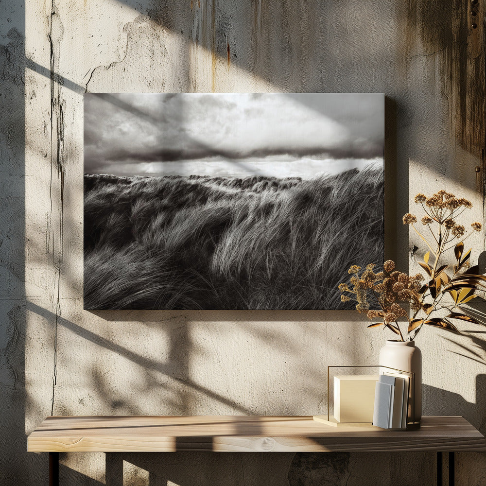 Grasdünen | Leinwand