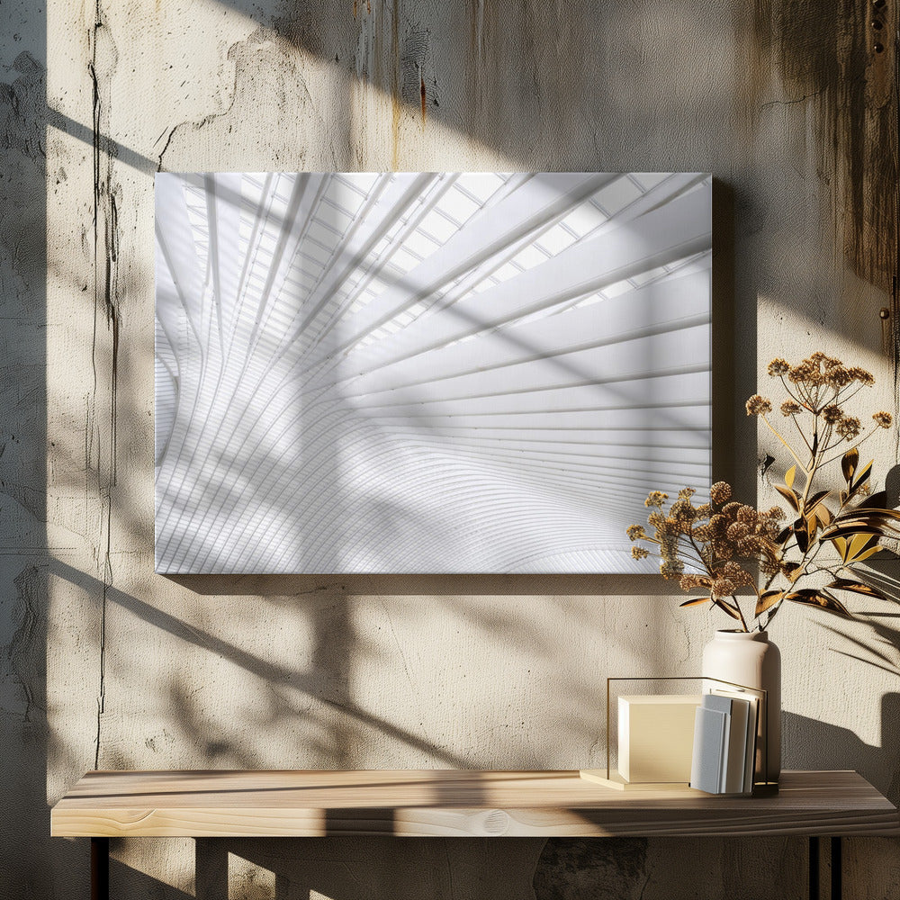 Curvature | Canvas