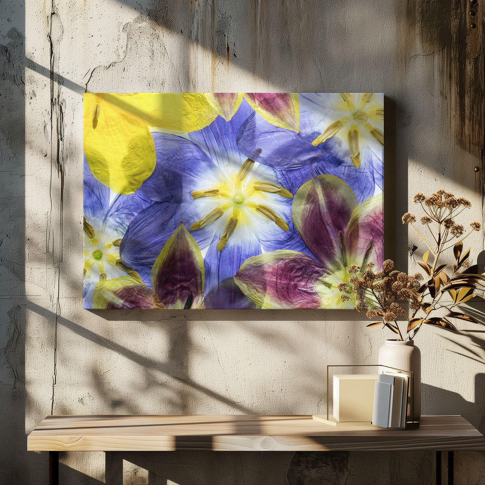 Tulpen | Leinwand