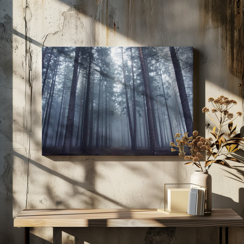 Geheimnisvoller Nebelwald. | Leinwand