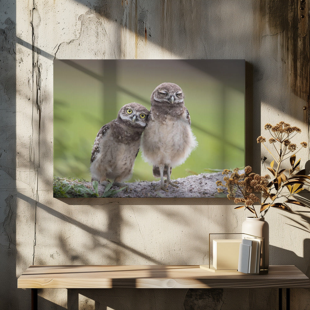 Freunde | Leinwand
