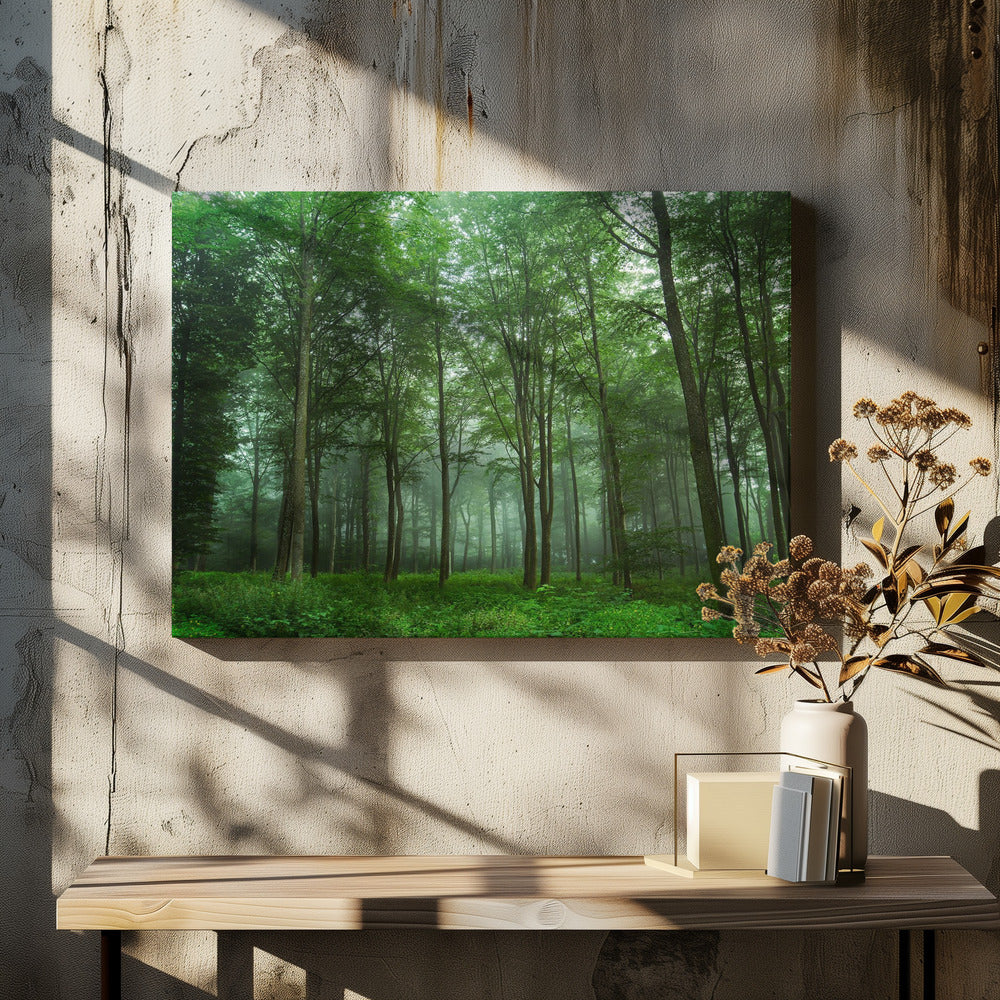 Waldblick | Leinwand