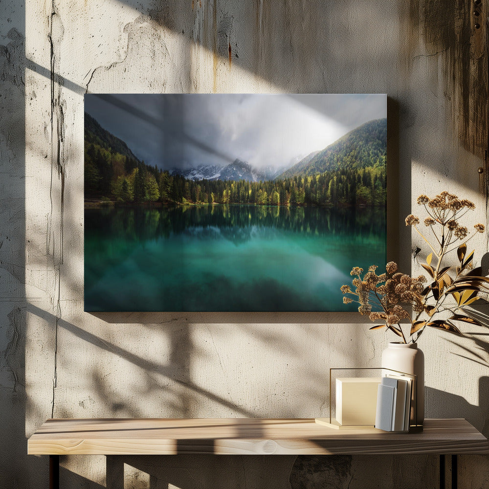 Menta. | Leinwand
