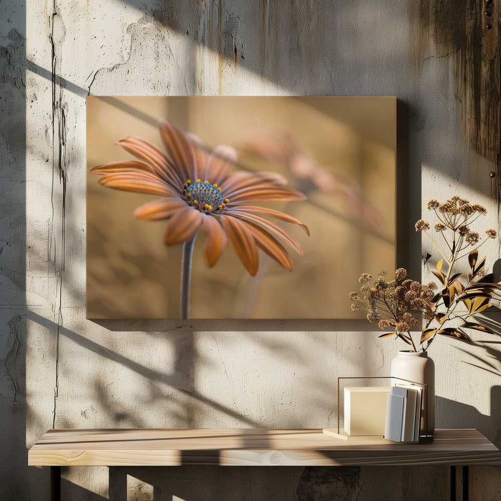 Sommerglühen | Leinwand