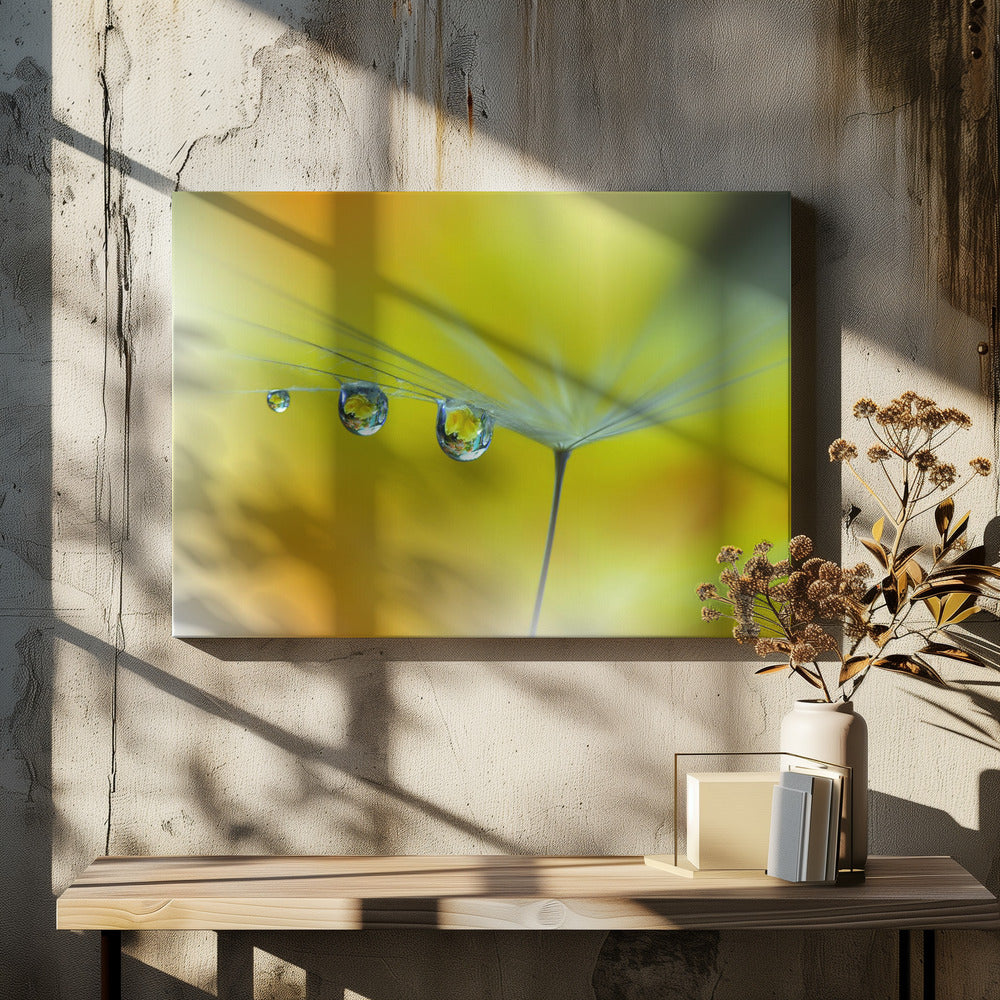 SunBeam...III | Canvas