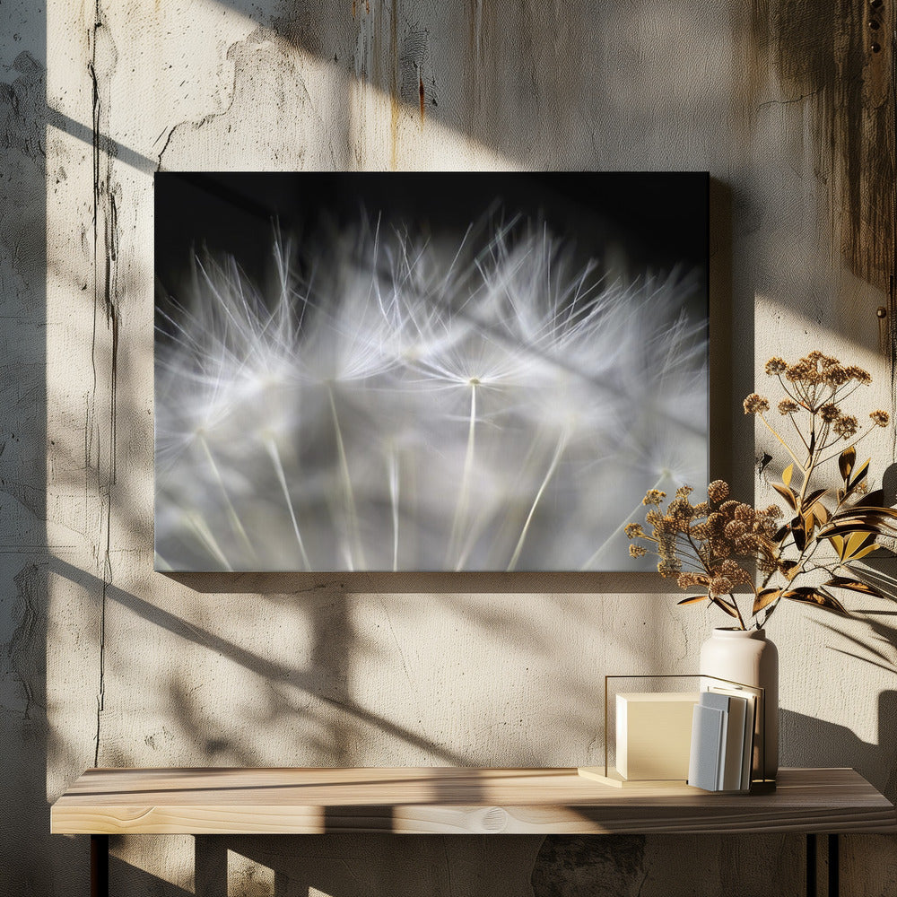Blow it | Canvas