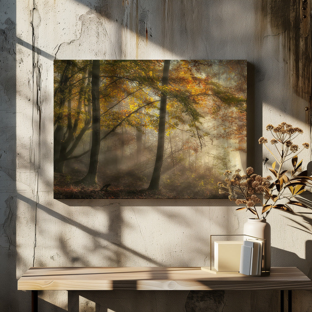 Die Lichter des Waldes | Leinwand