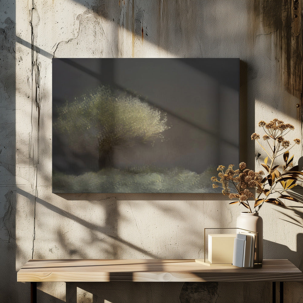 Willow | Canvas