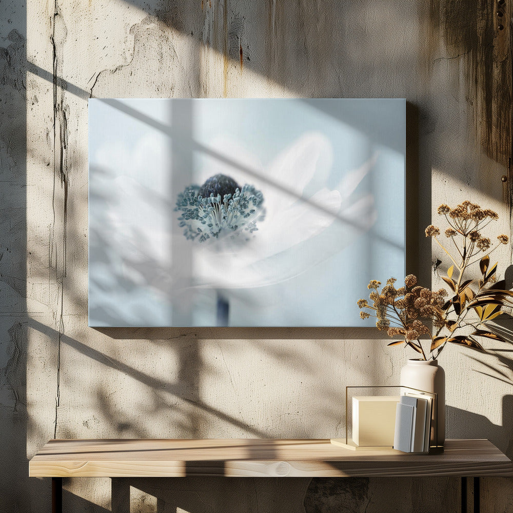 Zuckerwatte | Leinwand