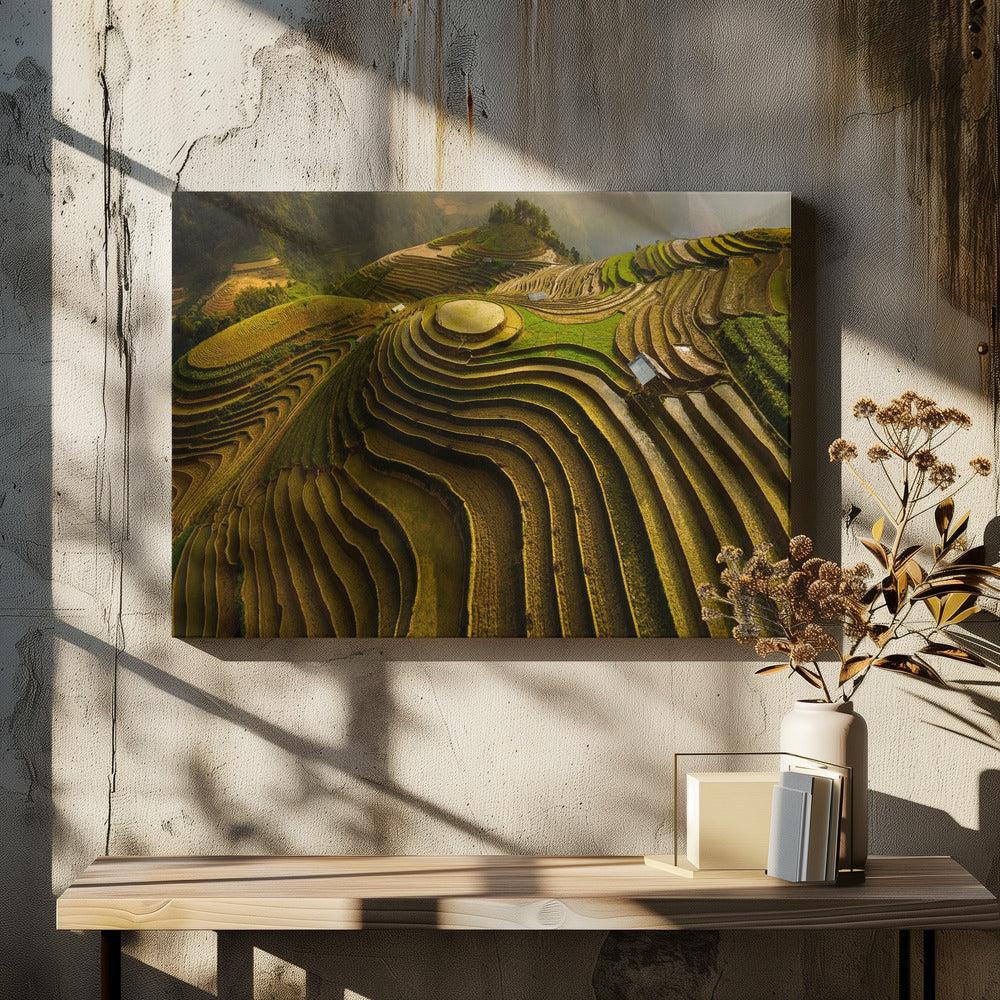 mu cang chai - vietnam | Canvas