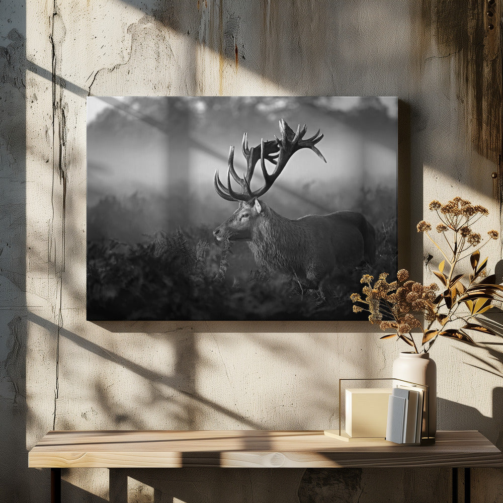 Sonniger Morgen | Leinwand